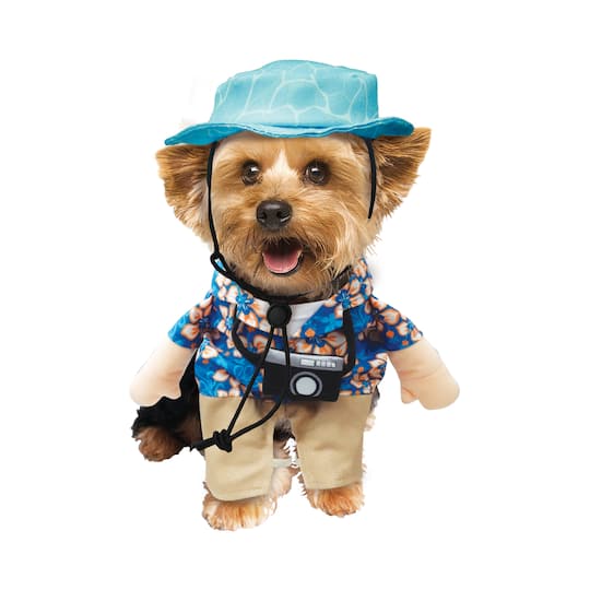 Best Furry Friends Summer Tourist Pet Costume